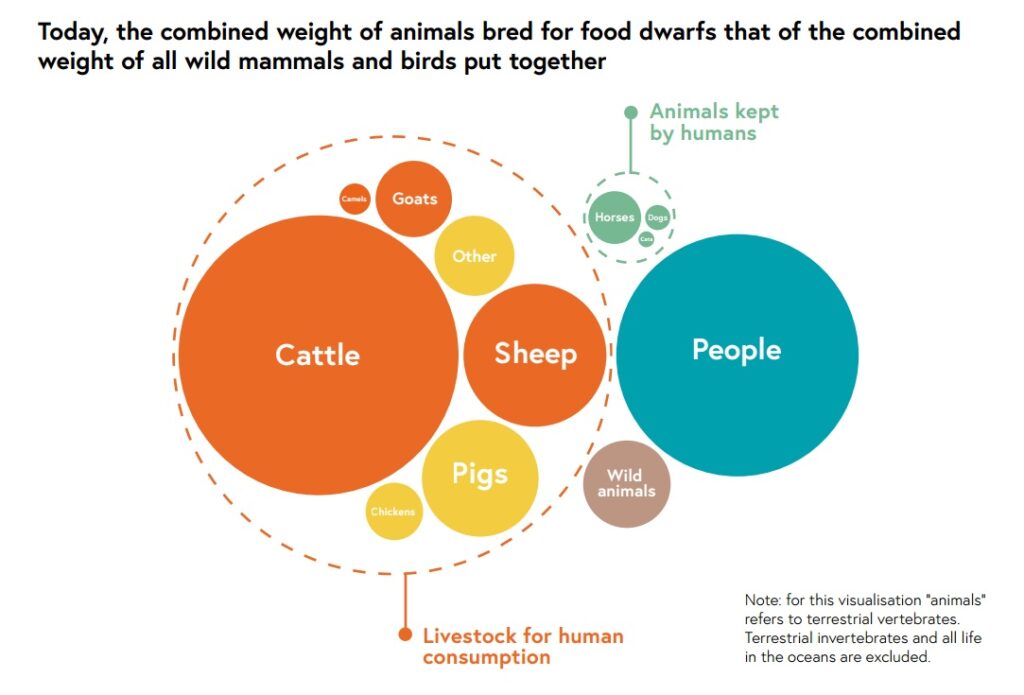 Food strategy and animals