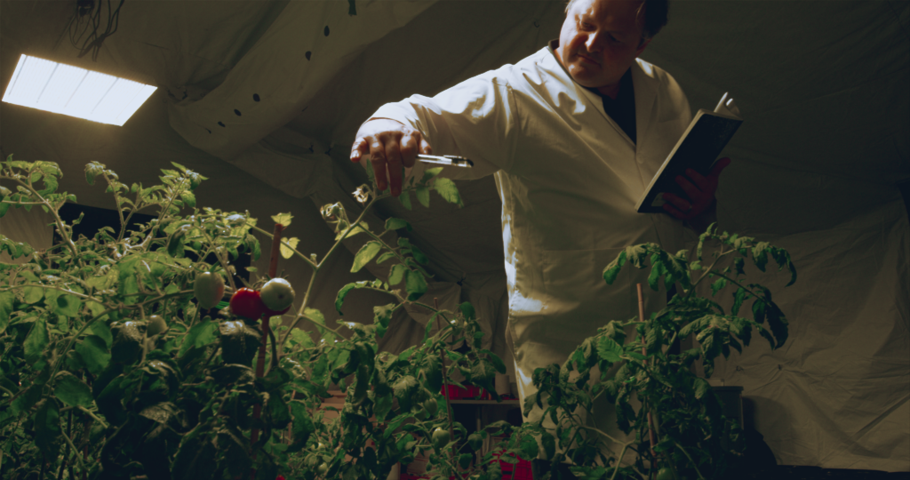 A climate resilient tomato crop