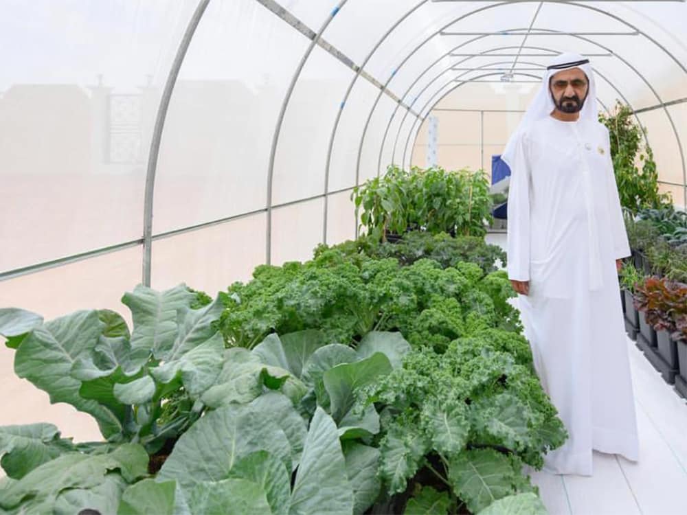 UAE PUMPS $1 BILLION INTO INITIATIVE TO CUT AGRICULTURAL CARBON EMISSIONS