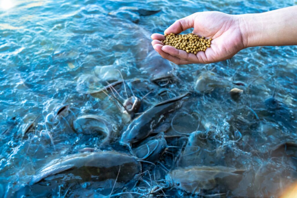 LAB FIRM ORIVO ANNOUNCES AMBITIOUS €880,000 PROJECT TO IDENTIFY SPECIES IN AQUAFEED