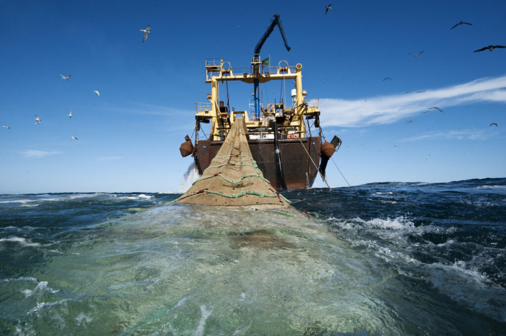 NEW RULES SHOULD REDUCE BYCATCH BY NATIONS SELLING SEAFOOD TO UNITED STATES