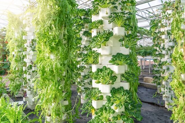 SAUDI ARABIA BOOSTS VERTICAL FARMING SECTOR WITH AMBITIOUS €23.5 INVESTMENT