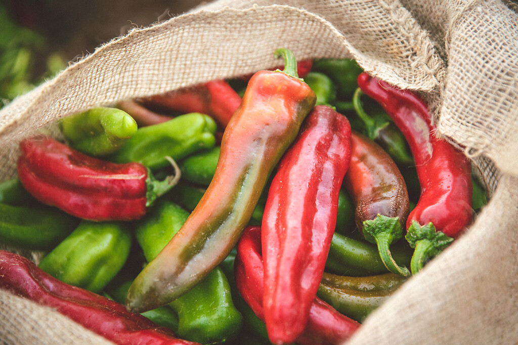 HOW THE FRESH CHILE COMPANY STRUCK GOLD AT SIAL AMERICA WITH NEW FREEZE DRIED HATCH CHILE