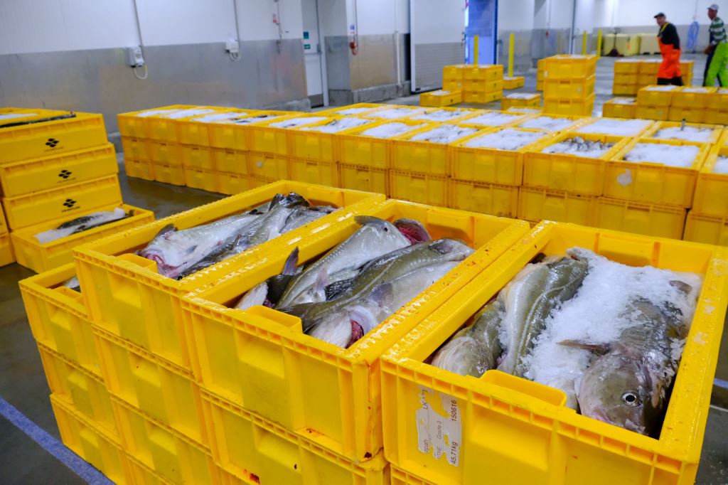 SEAFISH DROPS "LOVE SEAFOOD" CAMPAIGN LAUNCHED IN 2020 TO FOCUS ON KEY INDUSTRY CONCERNS