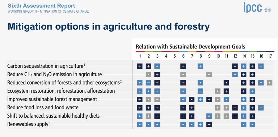 NEW IPCC REPORT INTO CLIMATE CHANGE PUTS FOOD SECTOR AT FOREFRONT OF POSITIVE CHANGE