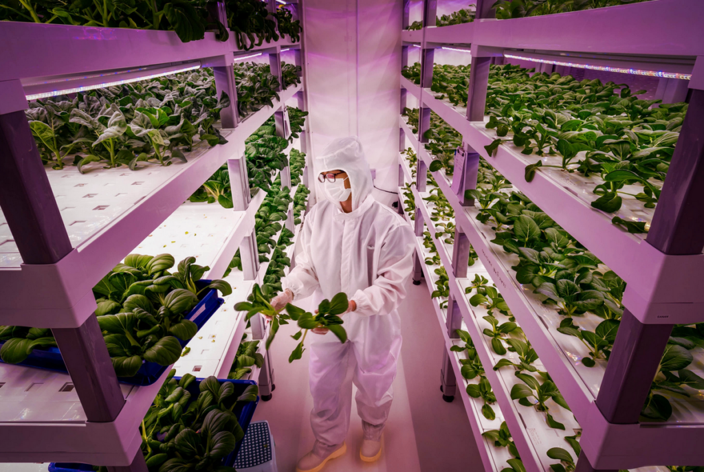 INVESTMENTS IN AGRICULTURAL AND FOOD TECHNOLOGY RAMPING UP FAST AS $800 MILLION FUNDS LAUNCHED