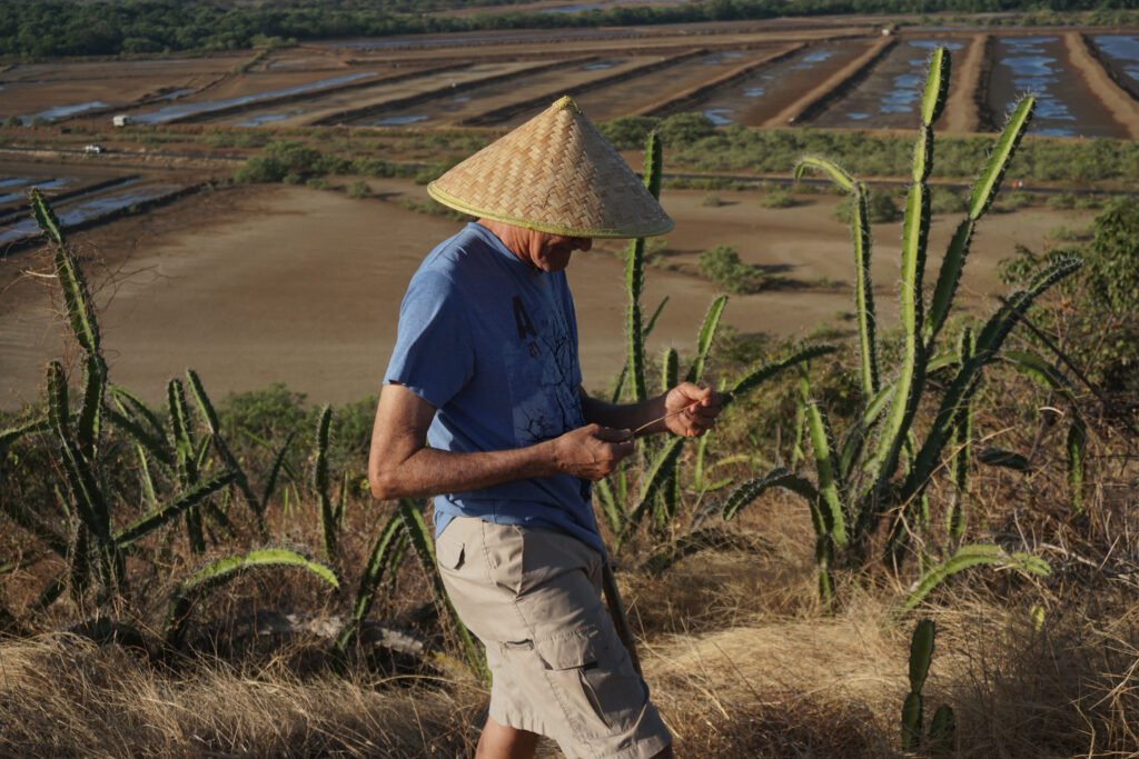 The sustainable protein industry could be a tech-driven export market that suits China. (Photo: Pikist)