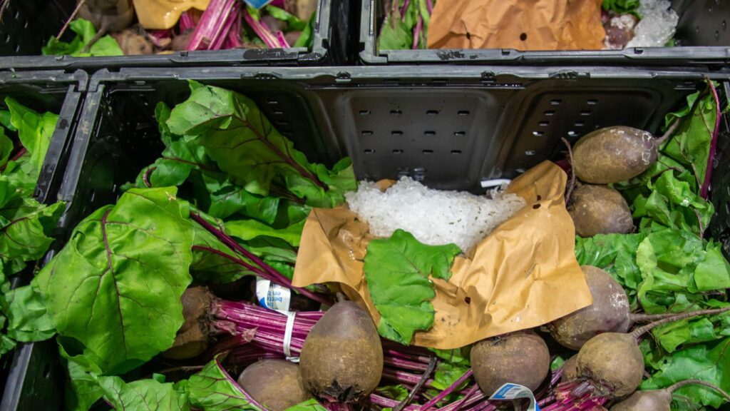 Researchers at the New Materials Institute will develop organic waste management strategies that can be adopted and scaled by communities. (Photo: Walmart)