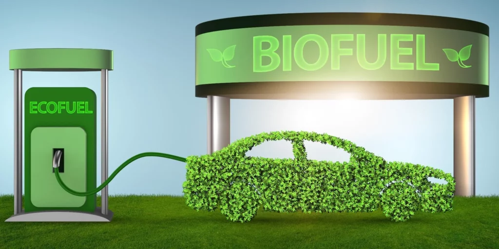 WIDESPREAD DISCUSSIONS OVER CUTS IN BIOFUEL PRODUCTION SO THAT MORE CEREAL CAN BE USED AS FOOD