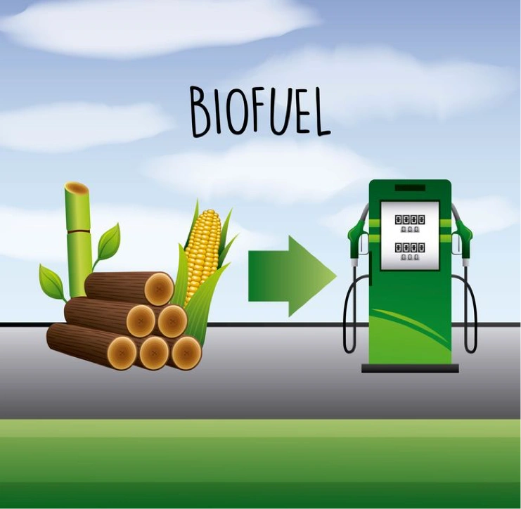 WIDESPREAD DISCUSSIONS OVER CUTS IN BIOFUEL PRODUCTION SO THAT MORE CEREAL CAN BE USED AS FOOD