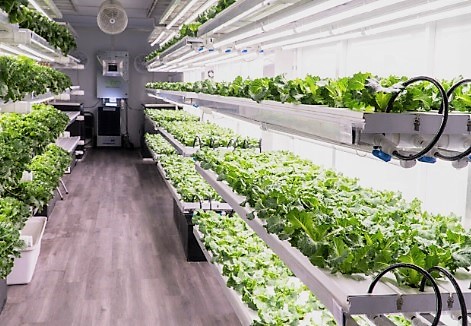 indoor farming