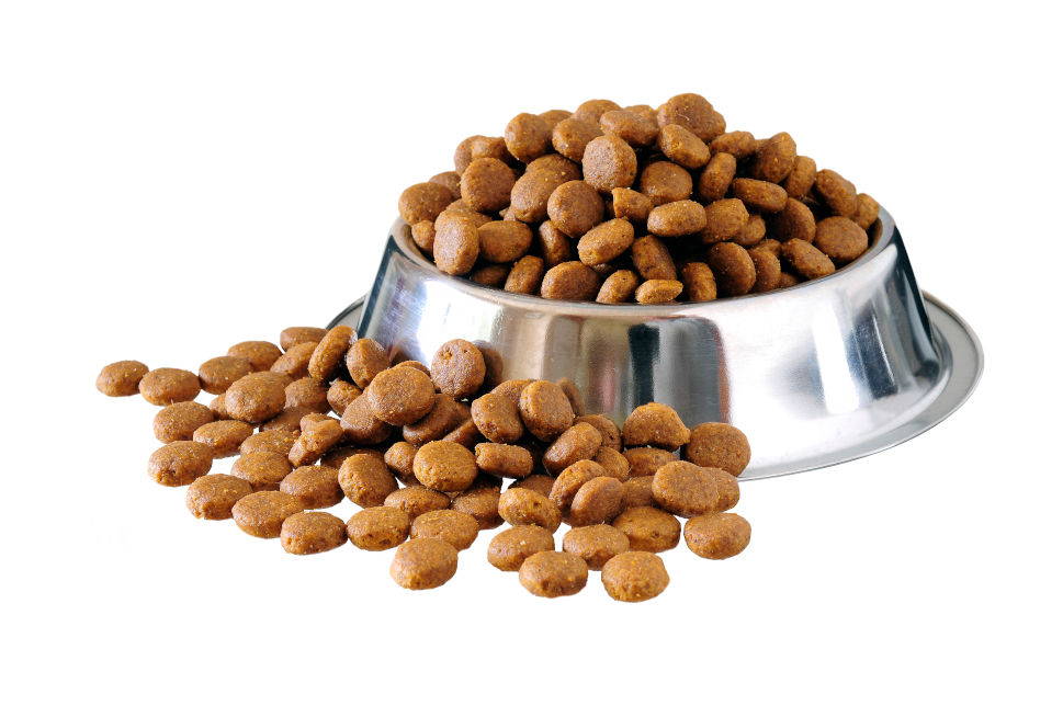 PET FOOD MARKET TO BE WORTH €132 BILLION BY 2030, ACCORDING TO NEW REPORT