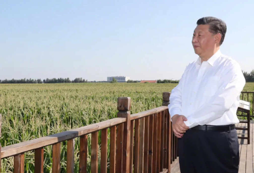 FOOD SECURITY A PRIORITY FOR CHINA AS IT LOOKS TO INCREASE ARABLE LAND AREA