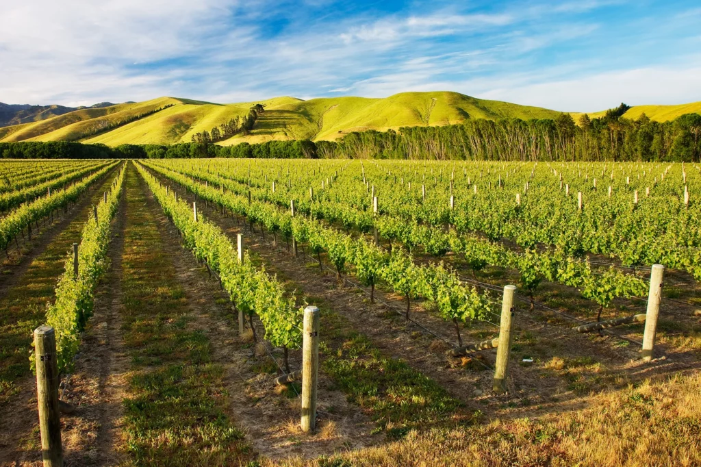 NEW ZEALAND AND EUROPEAN UNION SIGN TRADE AGREEMENT - BUT NOT WITHOUT CONTROVERSY