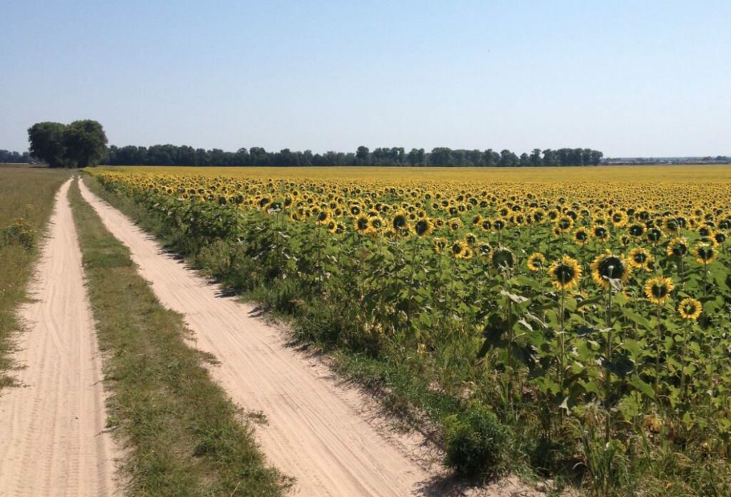 UKRAINE LOOKS TO GROW ORGANIC FOOD EXPORTS TO $1 BILLION DESPITE WAR WITH RUSSIA