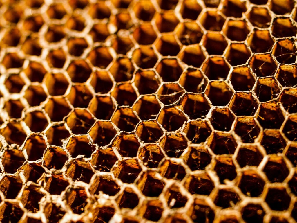 The United States has the highest second highest honey consumption behind China according to the latest data available from the United Nations Food and Agriculture Organisation in 2019. 