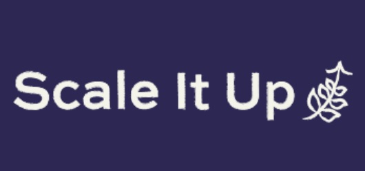 scale it up logo