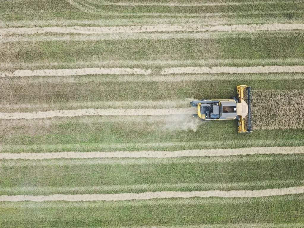 The World Economic Forum worked with consulting firm Bain & Company to research the impact of digital technology on food sustainability. (Photo: Unsplash/Luke Thornton)