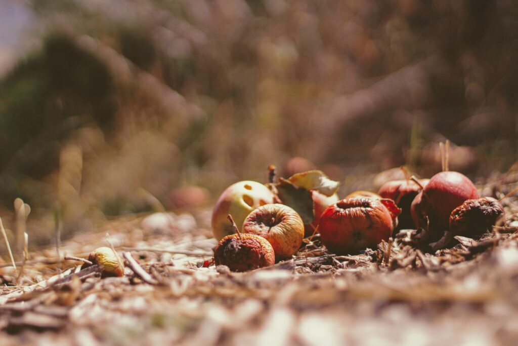 Testing the new technology will help Leanpath innovate with its food waste prevention services.