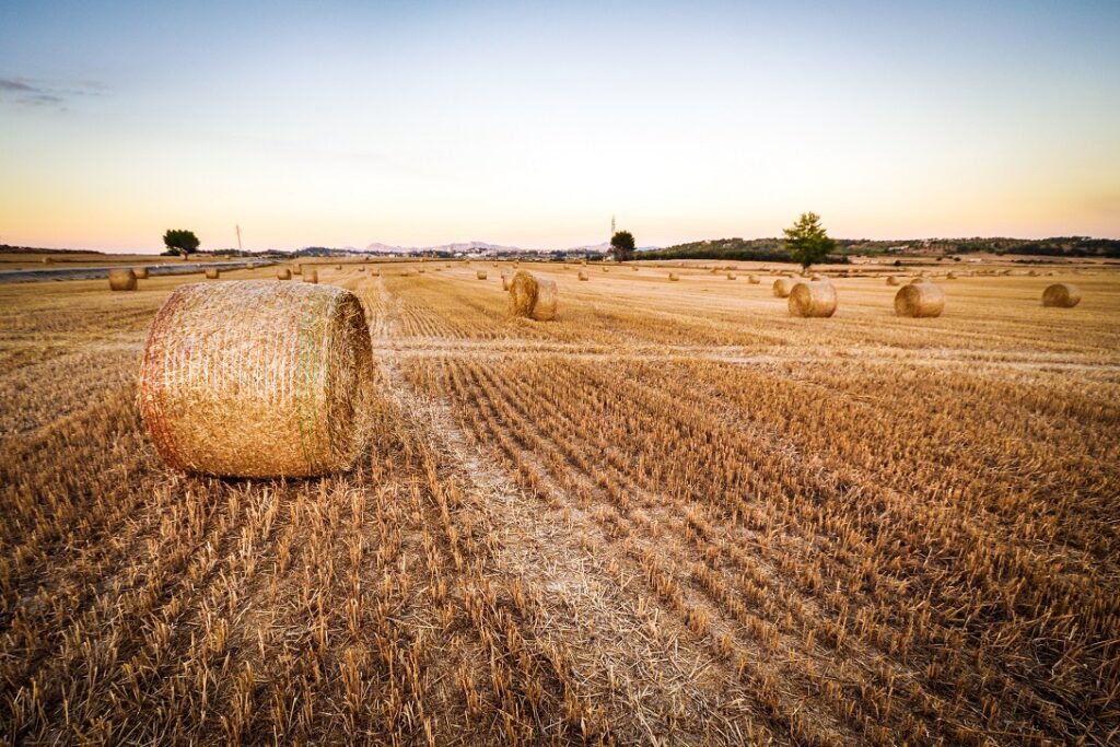 Hauts-de-France: rich in agricultural production and the birthplace of many agri-food multinationals